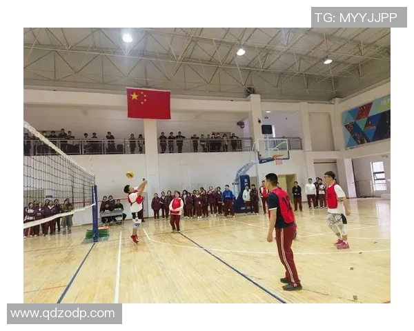 西安排球队的实力分析与未来发展方向探讨